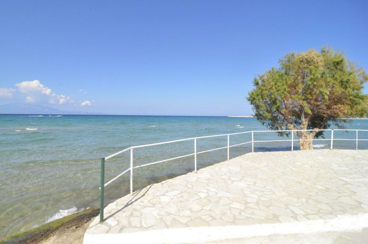 Oasis Beachfront Studios & Apartments, By Zantewize Alykanas  Exterior foto